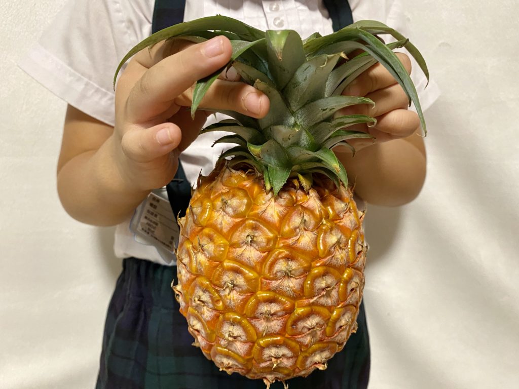 らでぃっしゅぼーや　パイナップル　美味しさ